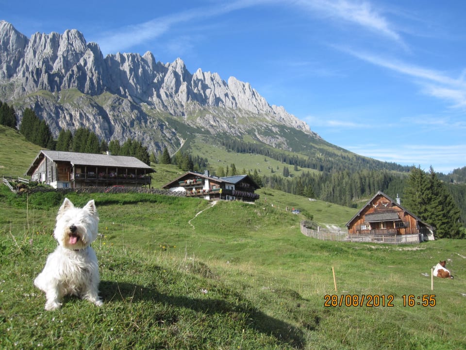 Natur pur Alpengasthof Hotel Kopphütte