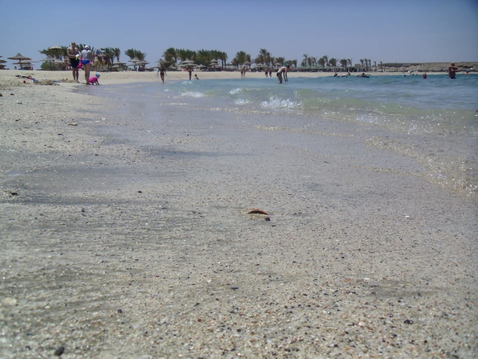 Plaża Malikia Resort Abu Dabbab