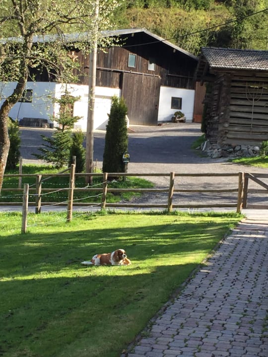 Sehr liebliches Hotel mit Persönlicher Note Boutique Hotel Martha