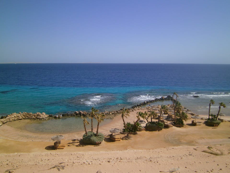 Blick auf das nördliche Riff Pickalbatros Citadel Resort