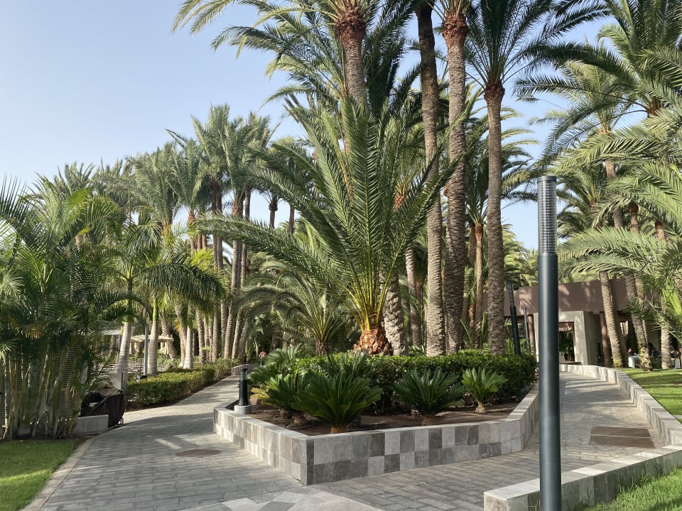 Gartenanlage Hotel Riu Palace Oasis