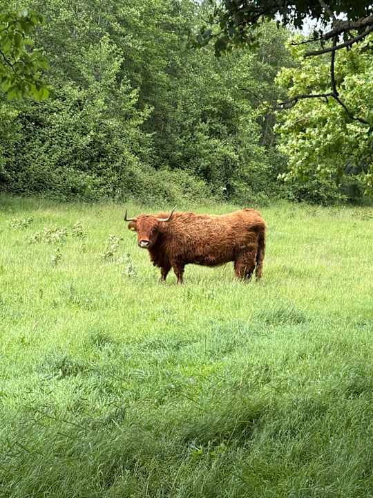 Gartenanlage Oostappen Vakantiepark Marina Beach