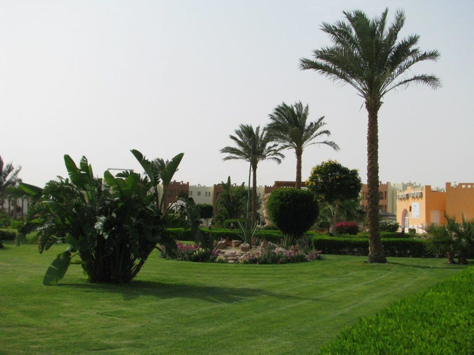 Красоты отеля SUNRISE Royal Makadi Resort