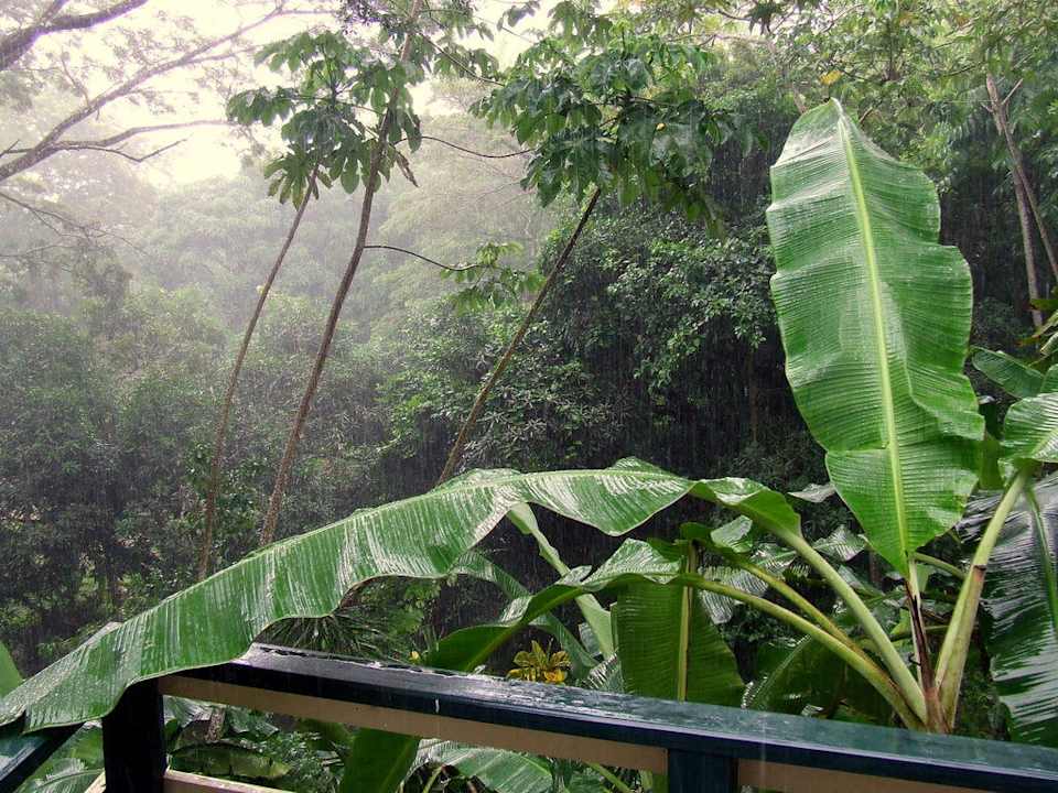 Ausblick vom Balkon/Terrasse im Sommerregen Adventure Farm & Nature Resort