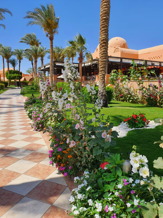 Gartenanlage Jaz Makadi Oasis Resort