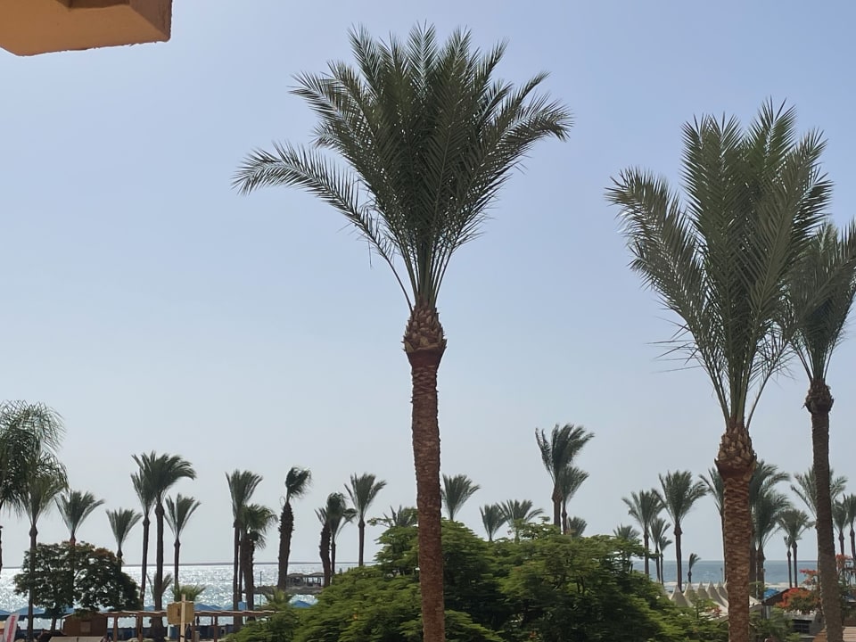 Zimmer Continental Hotel Hurghada