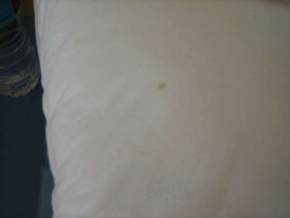 Zimmer Novotel Marsa Alam Beach Resort