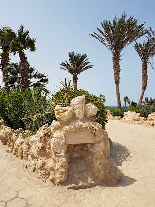 Sonstiges Pickalbatros Citadel Resort