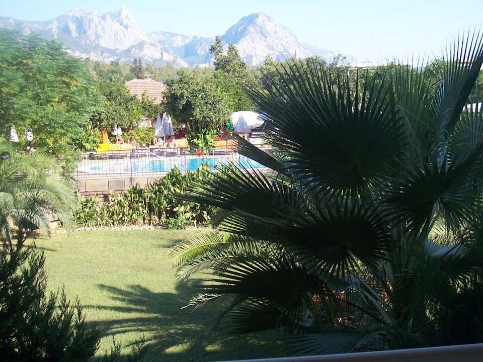 das geilste Hotel Armas Gül Beach