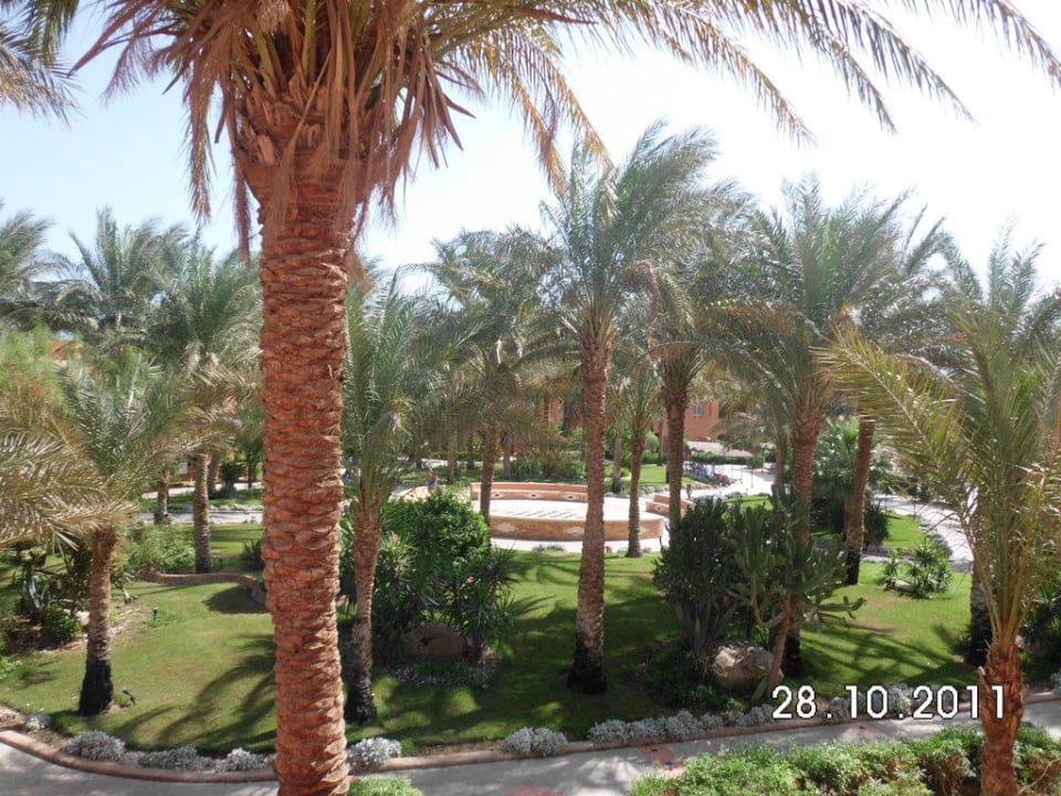 Blick aus Zimmer 3244 Jaz Makadi Oasis Resort