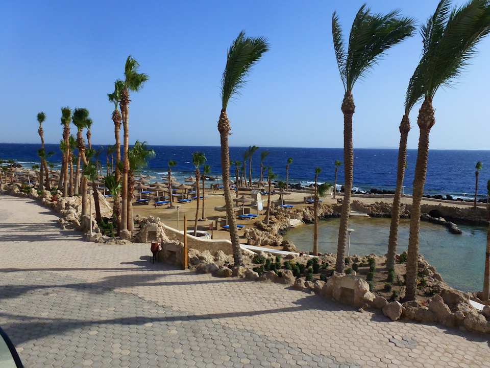Strand Pickalbatros Citadel Resort