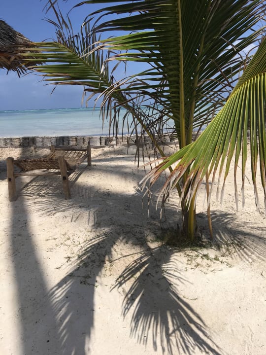 Erholung pur... TUI Blue Bahari Zanzibar