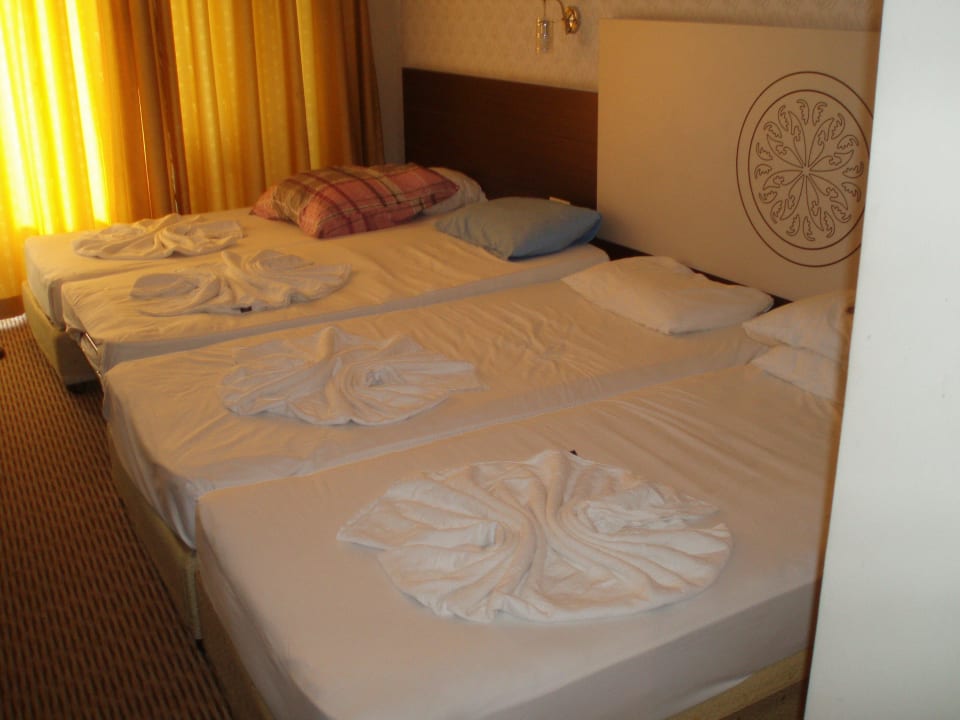 Viel zu klein Side Alegria Hotel & Spa - Adults only +16