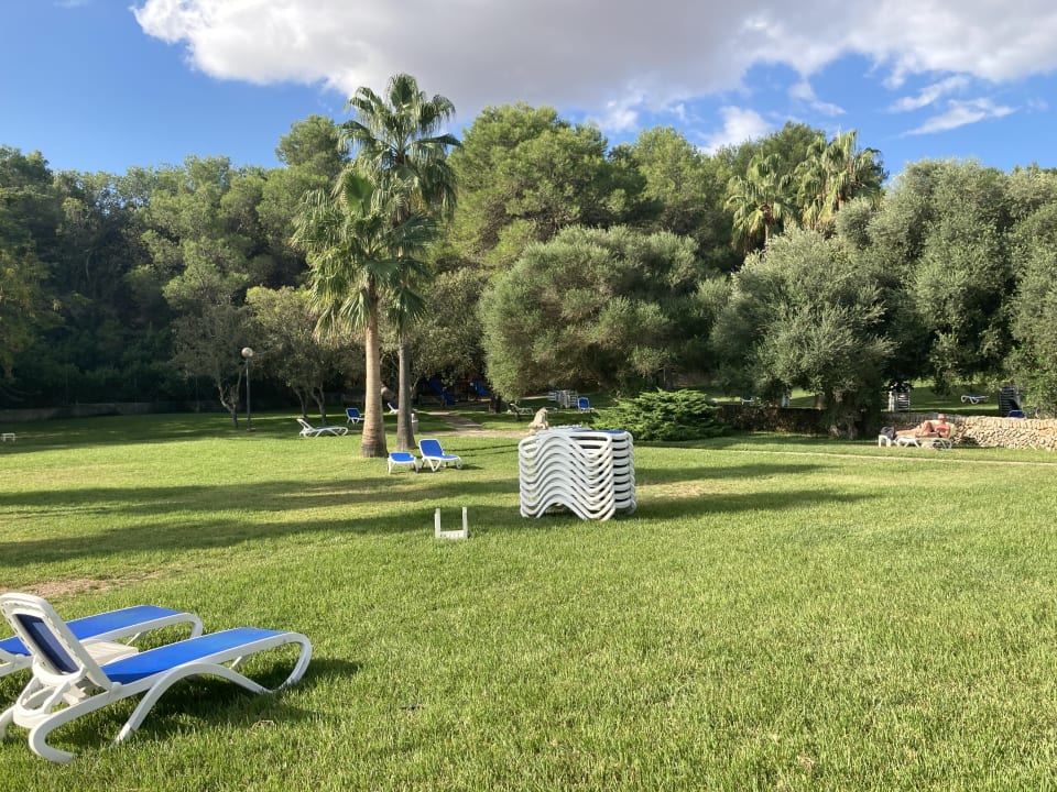 Gartenanlage Hotel Exagon Park