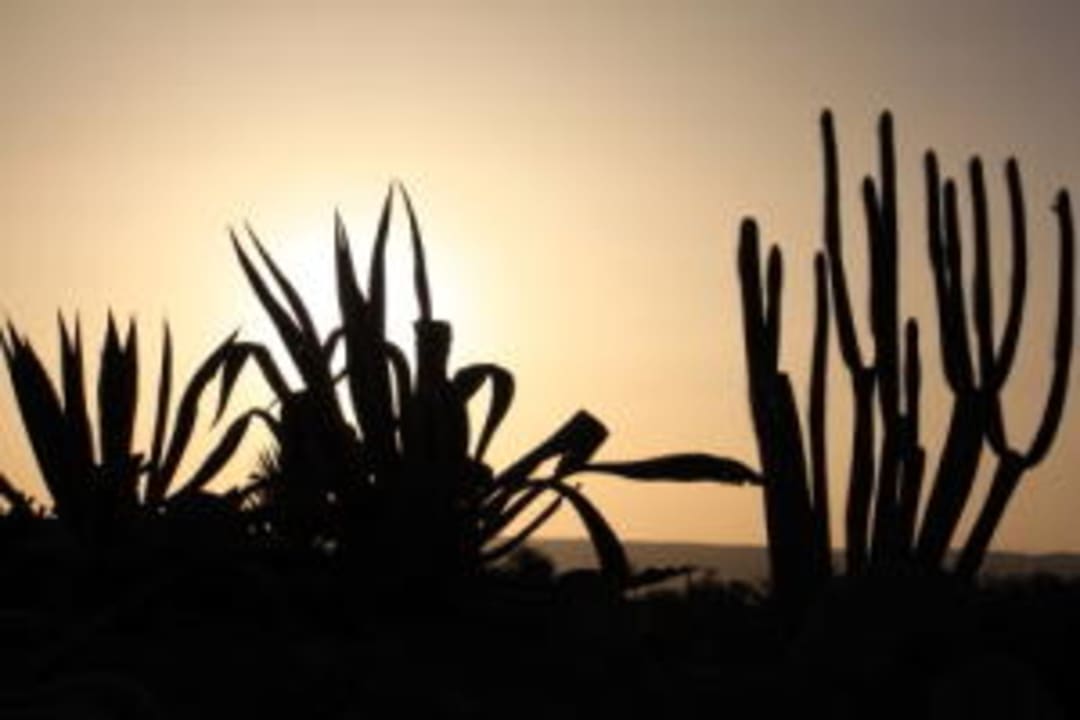 Sonnenuntergang Hotel Turtle Guest House