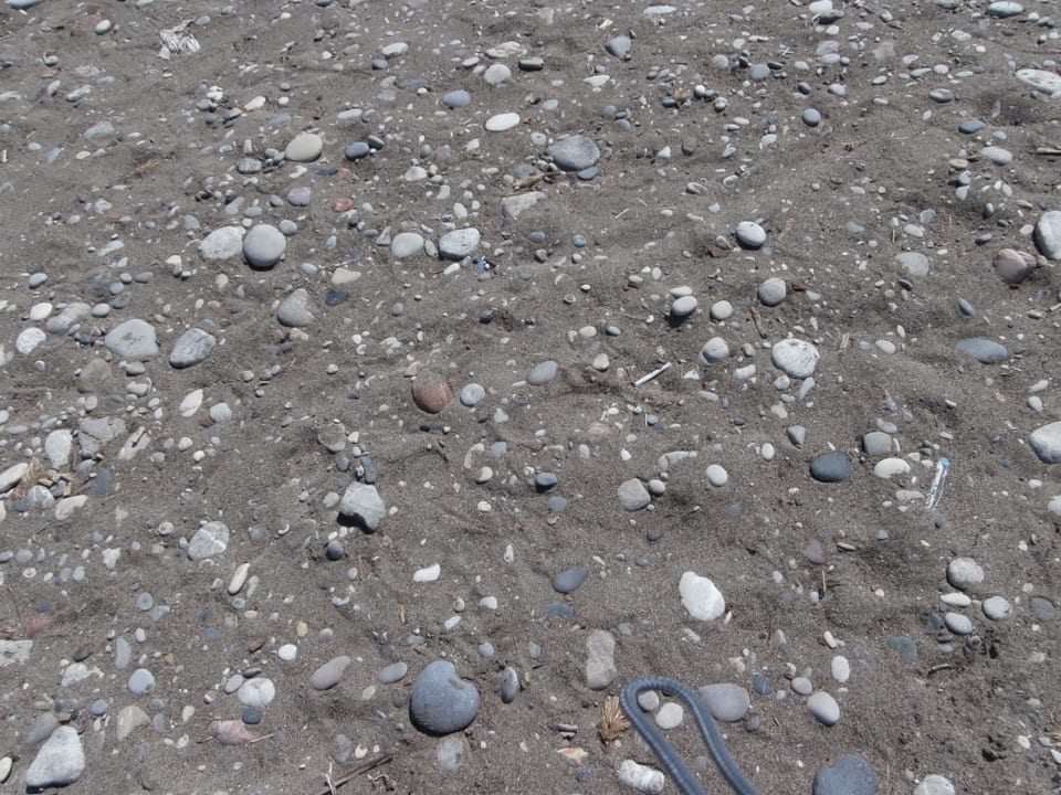 Plaża Sol Cosmopolitan Rhodes