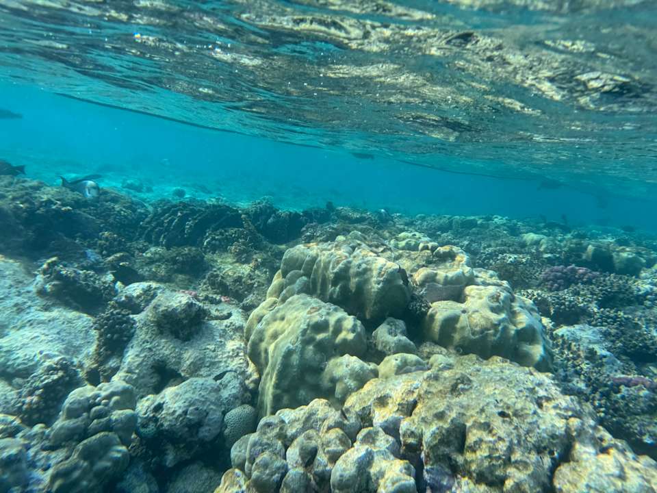 Strand Sentido Reef Oasis Suakin