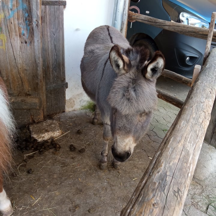Sonstiges Hotel Reiterhof Altmühlsee