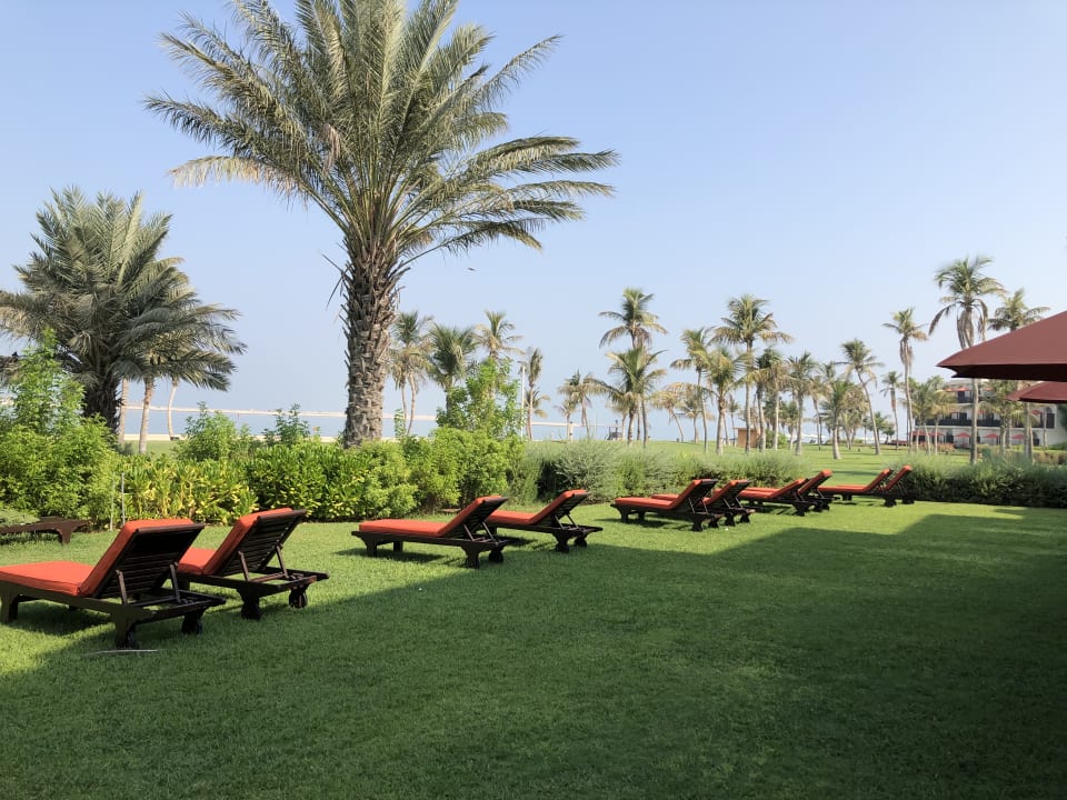 Gartenanlage JA Palm Tree Court