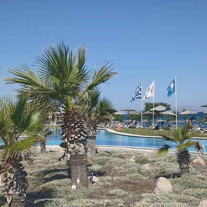 Pool Astir Odysseus Kos Resort & Spa