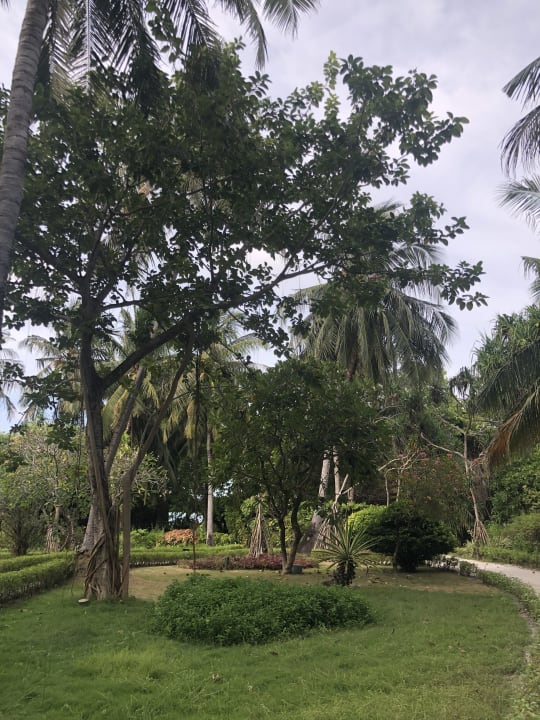 Gartenanlage Adaaran Select Meedhupparu Island Resort - Premium All Inclusive