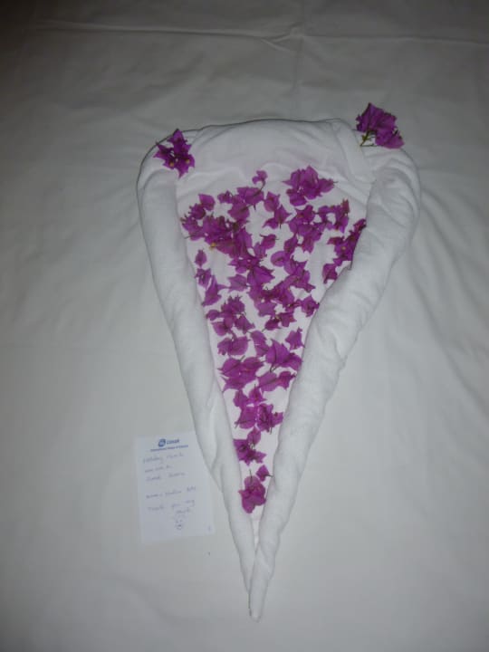 Wat de poetsvrouw in ons kamer heeft gedaan Limak Limra Hotel & Resort