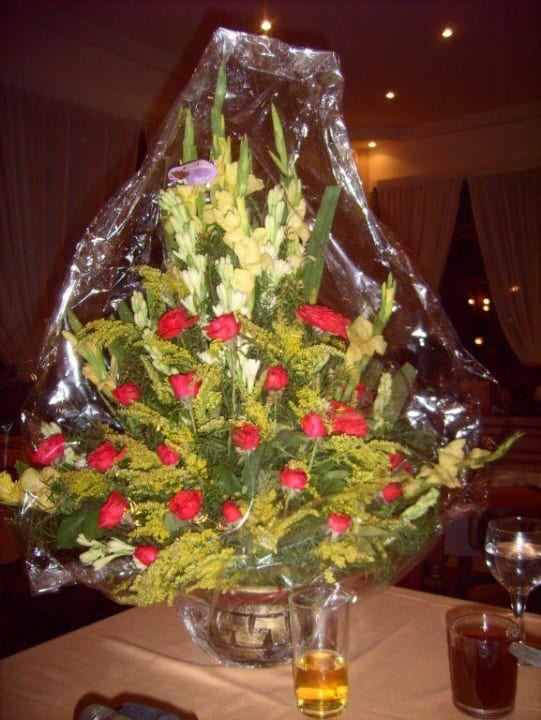 Geburtstagsstrauß Pickalbatros Dana Beach Resort - Hurghada