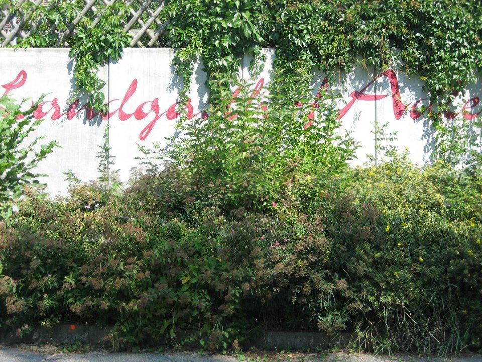 Schöne Sonnenterrasse Landgasthof Adler