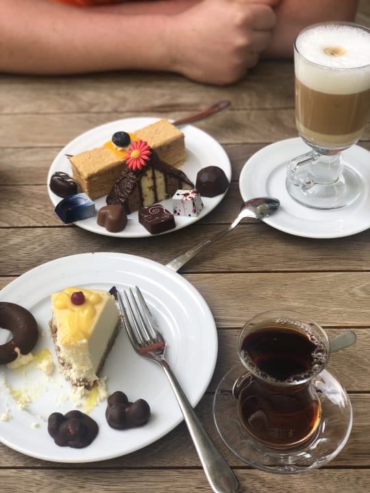 Gastro Acanthus Cennet Barut Collection