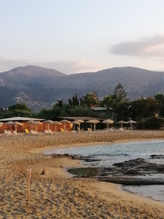 Strand allsun Hotel Carolina Mare