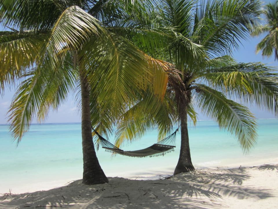 Abhängen. Traumhaft! Meeru Maldives Resort Island