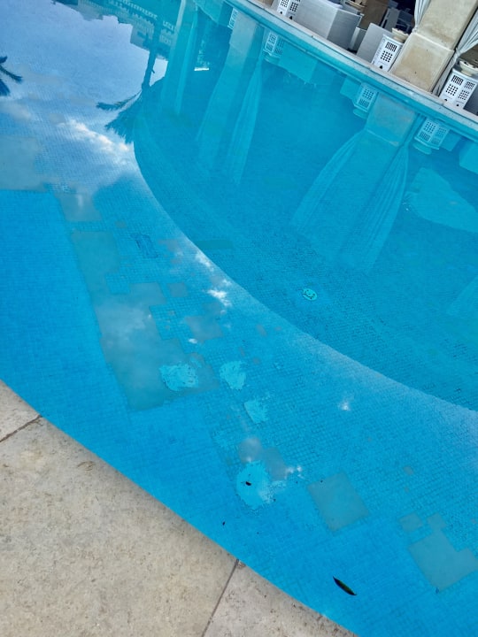 Pool Makadi Spa - Adults only