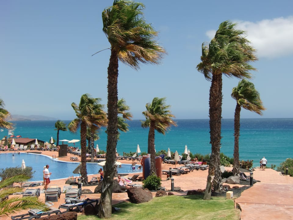 Blick vom Garten auf das Meer H10 Tindaya