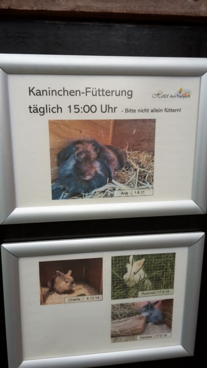 Sonstiges Hotel am Tierpark