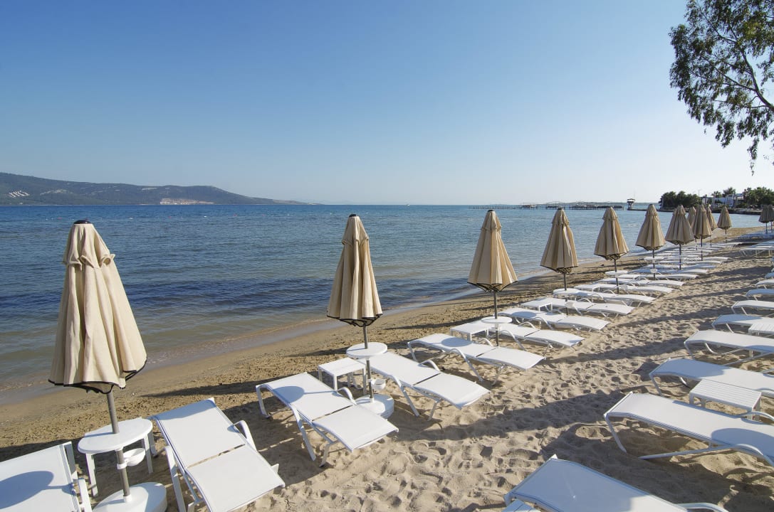 Beach Asteria Venus Didim