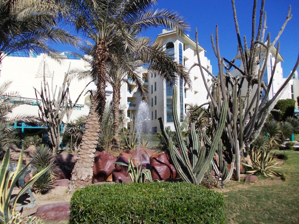 Ogród Moreno Horizon Spa & Resort