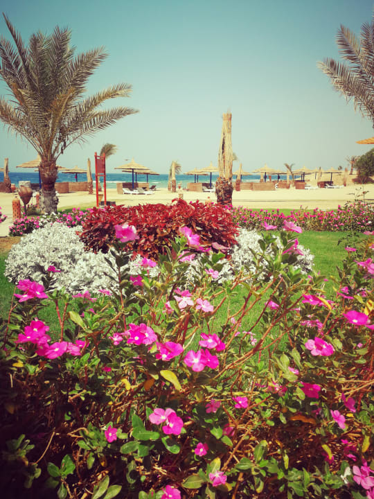 Gartenanlage Coral Sun Beach