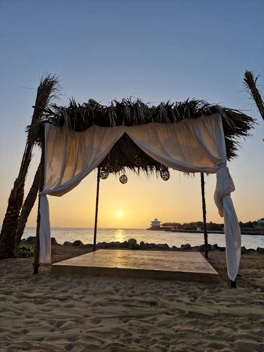 Außenansicht Desert Rose