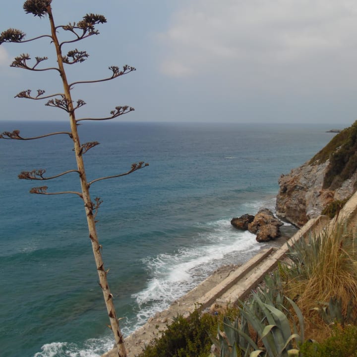 Ulas Beach La Finca Marina