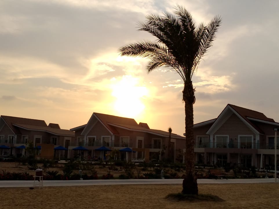Strand Pickalbatros Sea World Resort - Marsa Alam