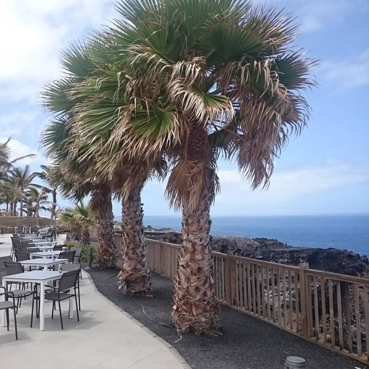 Widok na ocean  La Palma Princess