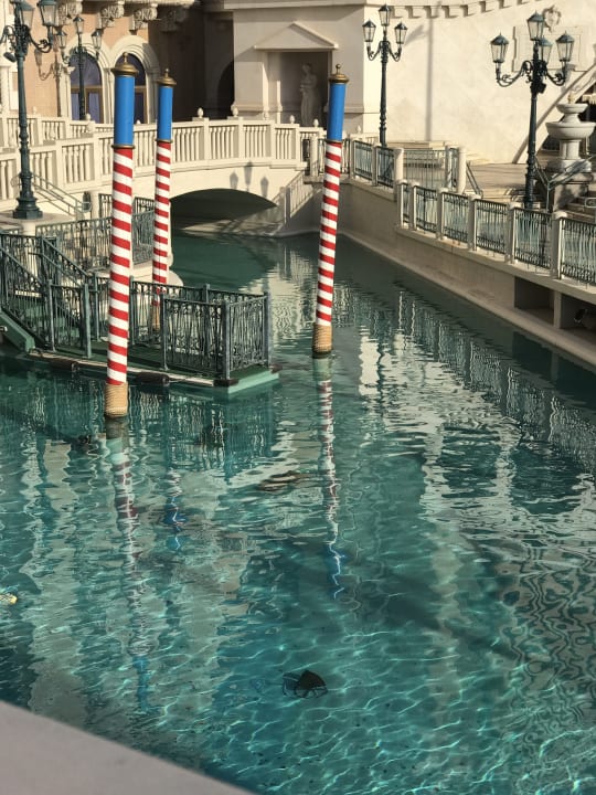 Sport & Freizeit The Venetian Resort & Casino