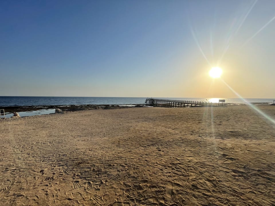 Strand Steigenberger Resort Alaya Marsa Alam - Red Sea - Adults only