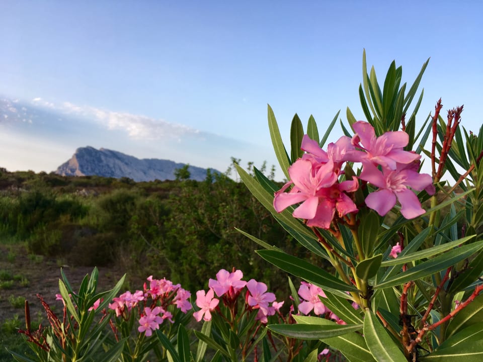 Gartenanlage Grande Baia Resort & Spa