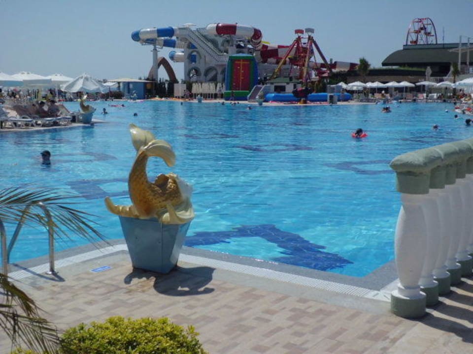 Pool für Erwachsene Hotel Delphin Imperial