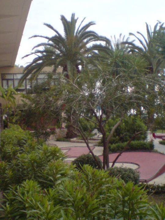 Blick von Zimmer Nr,22(EG) allsun Hotel Bahia del Este