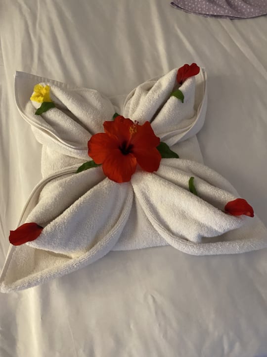 Zimmer Royal Karthago Djerba