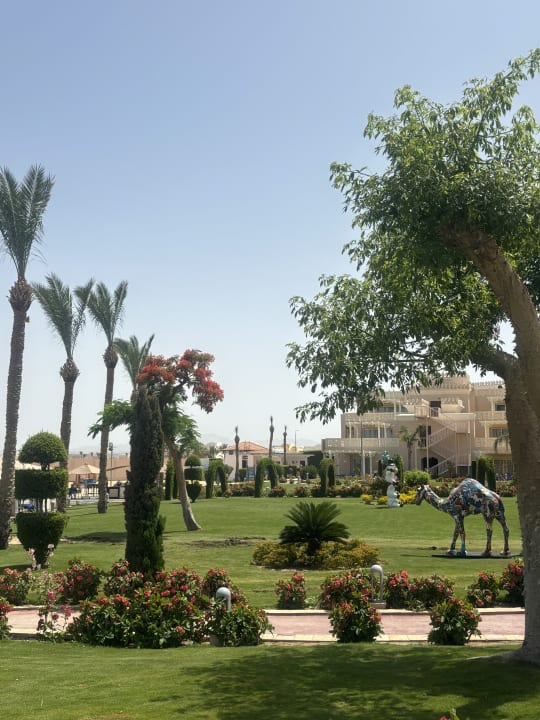 Gartenanlage Pickalbatros Palace Resort