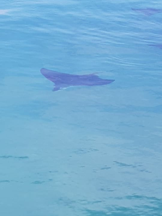 Sport & Freizeit Adaaran Select Hudhuran Fushi - Premium All Inclusive