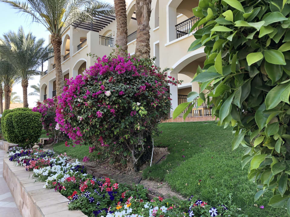 Außenansicht Hotel JAZ Makadi Star & Spa
